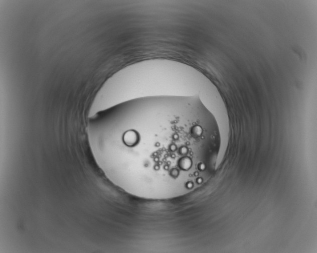 X0000113580237200910161547