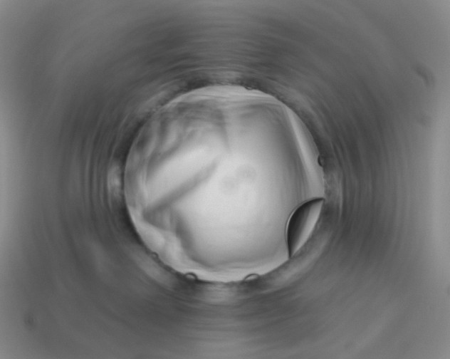 X0000113580238200910161547