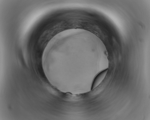 X0000113580239200910161547