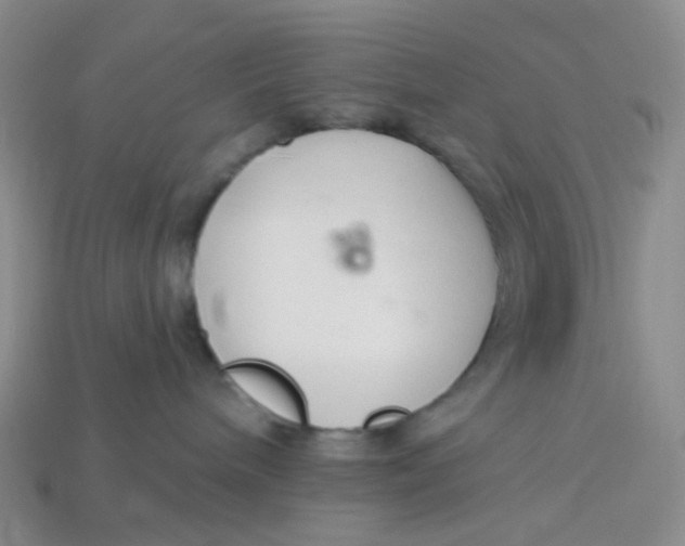 X0000113580240200910161547