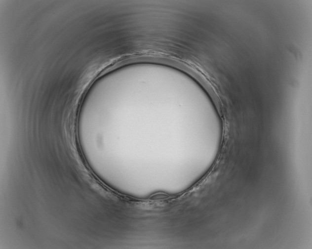 X0000113580241200910161546