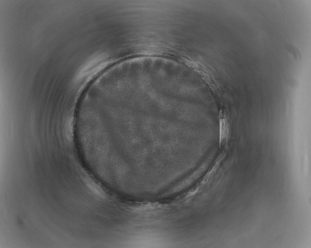 X0000113580243200910161546