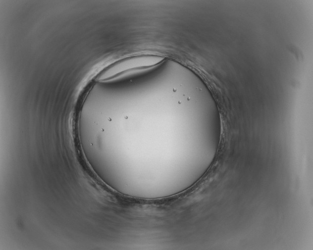 X0000113580244200910161546