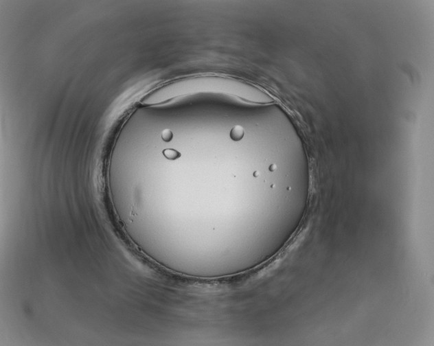 X0000113580245200910161546