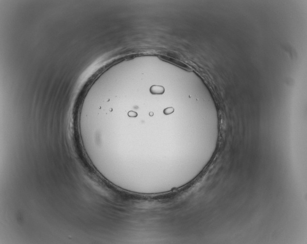 X0000113580246200910161546