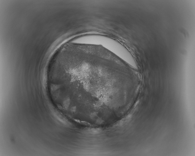 X0000113580247200910161546