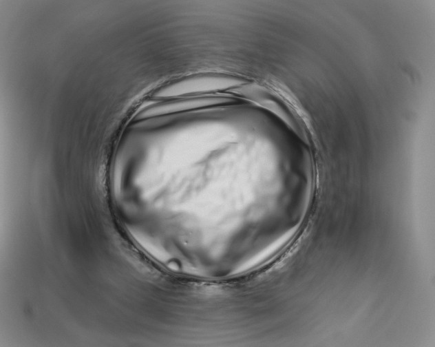 X0000113580249200910161546