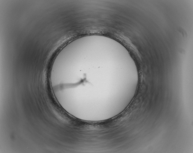 X0000113580250200910161546