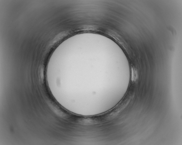 X0000113580253200910161546