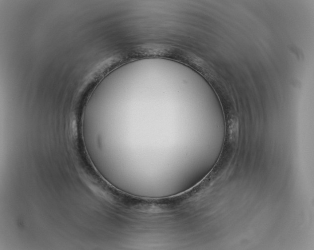 X0000113580254200910161546