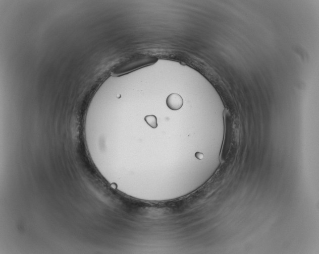 X0000113580255200910161546