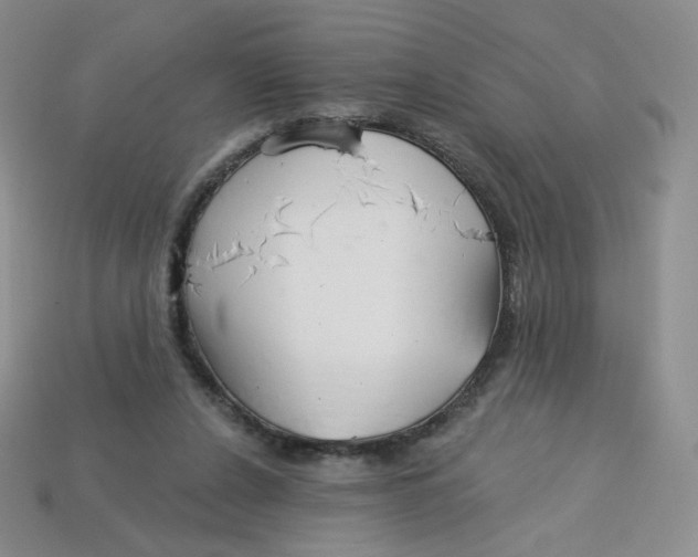 X0000113580256200910161546