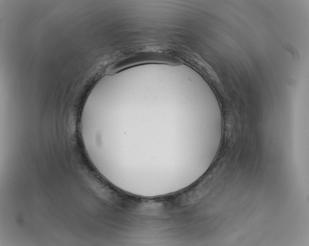 X0000113580257200910161546