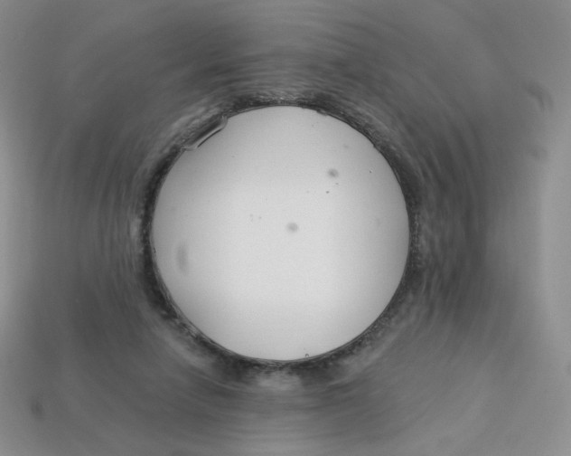 X0000113580258200910161546