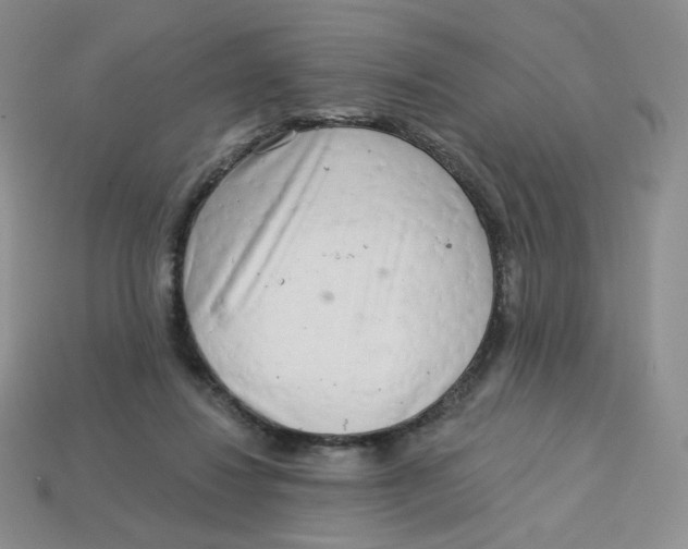 X0000113580260200910161546