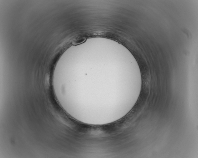 X0000113580262200910161546