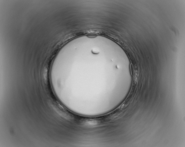 X0000113580263200910161546