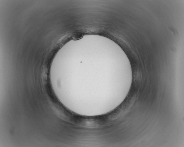 X0000113580264200910161546