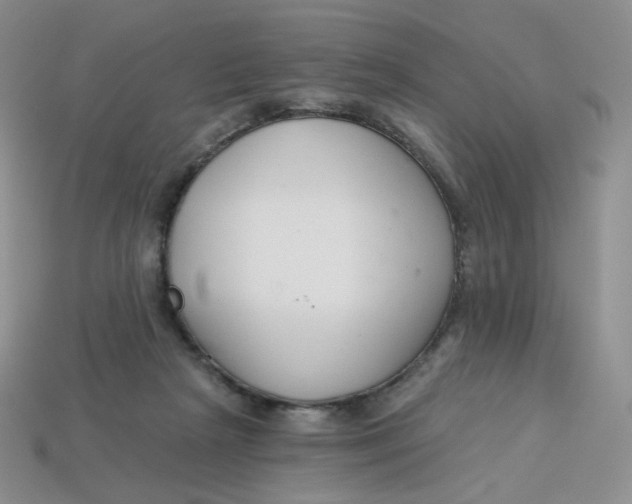 X0000113580265200910161546