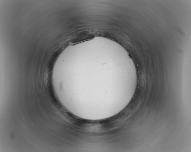 X0000113580266200910161546