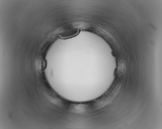 X0000113580268200910161546