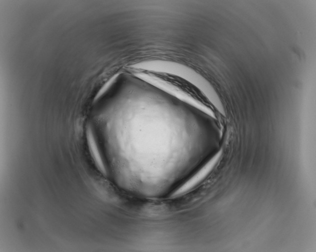 X0000113580271200910161546