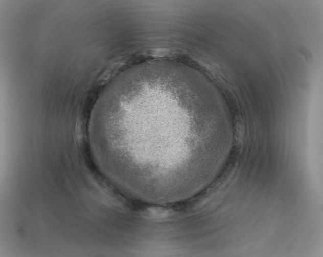 X0000113580272200910161546