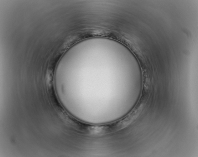 X0000113580273200910161546