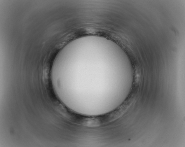 X0000113580275200910161546