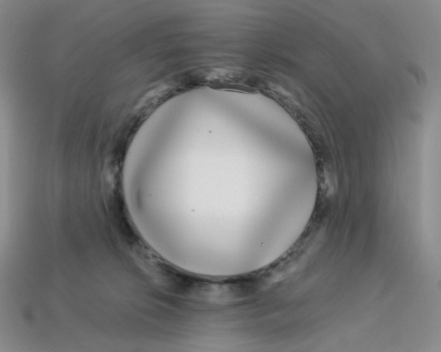 X0000113580276200910161546