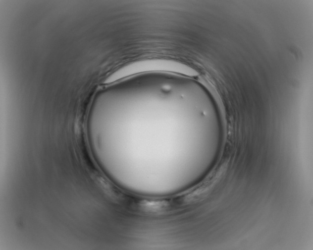 X0000113580277200910161547