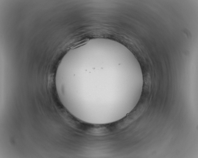 X0000113580278200910161547