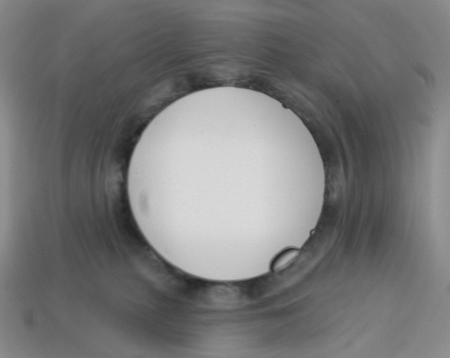 X0000113580279200910161547