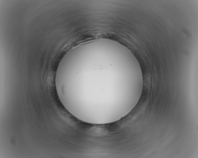 X0000113580280200910161547