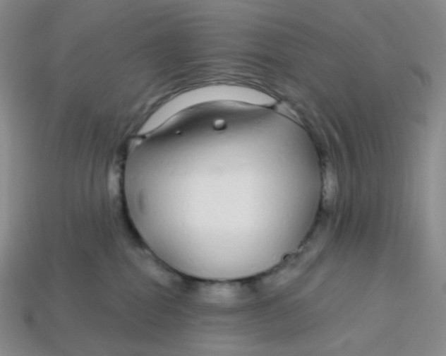 X0000113580282200910161547