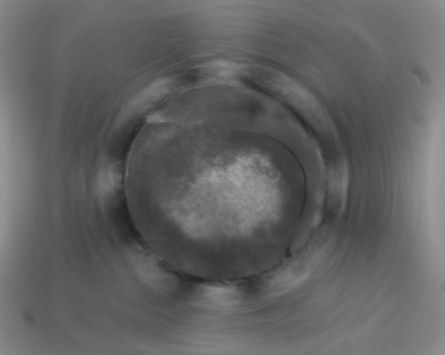 X0000113580284200910161547