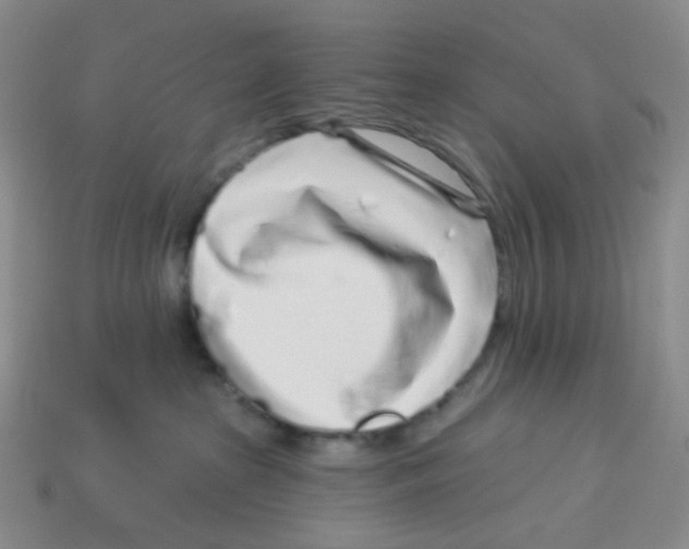 X0000113580285200910161547