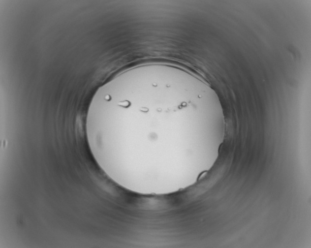 X0000113580286200910161547