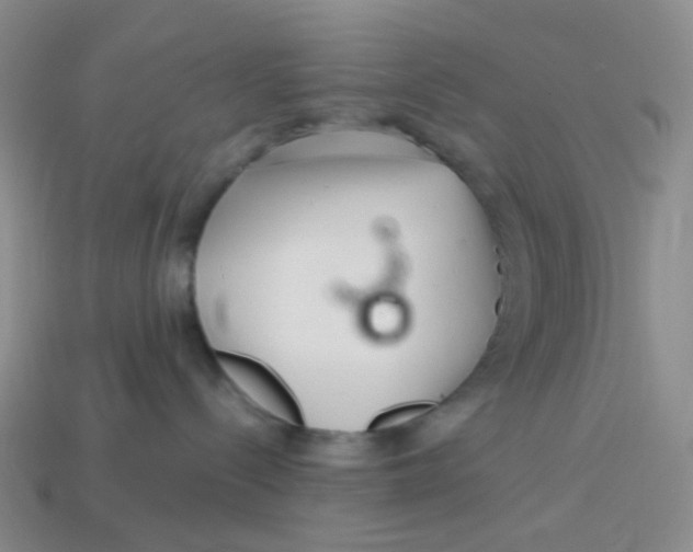 X0000113580288200910161547