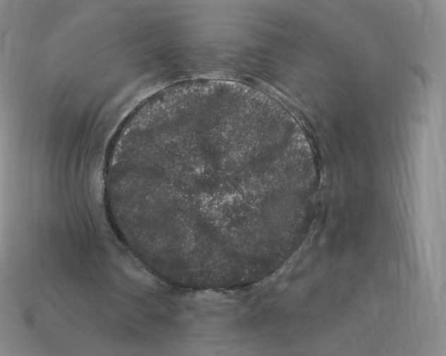 X0000113580290200910161546