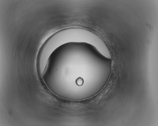 X0000113580292200910161546