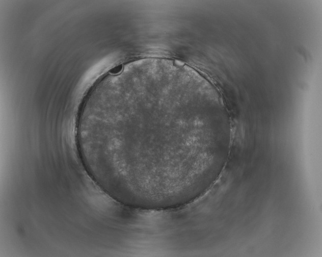 X0000113580293200910161546