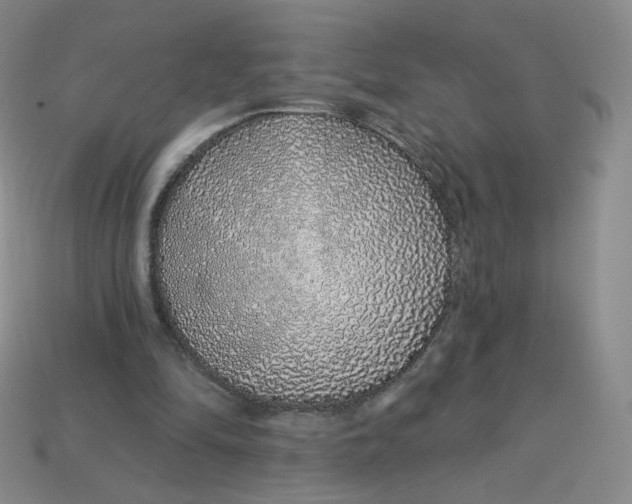 X0000113580294200910161546