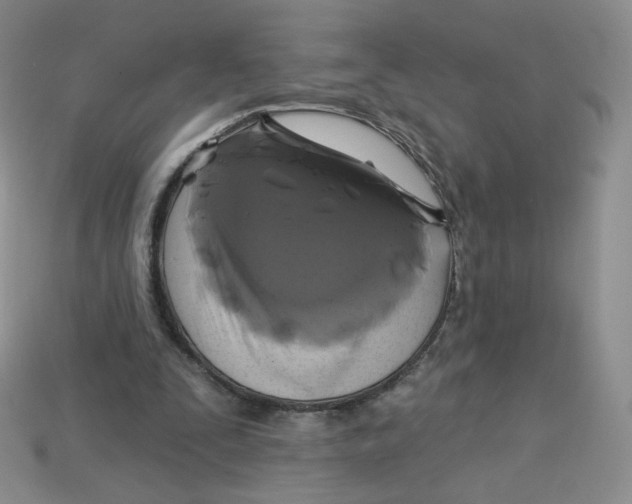 X0000113580295200910161546