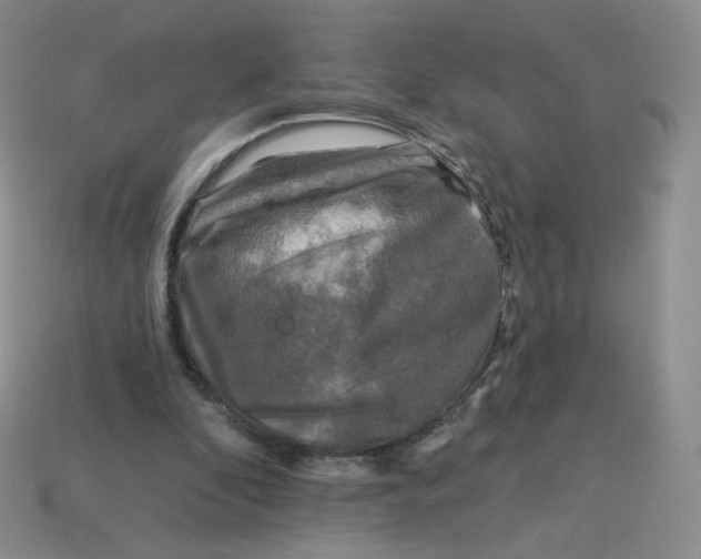 X0000113580296200910161546