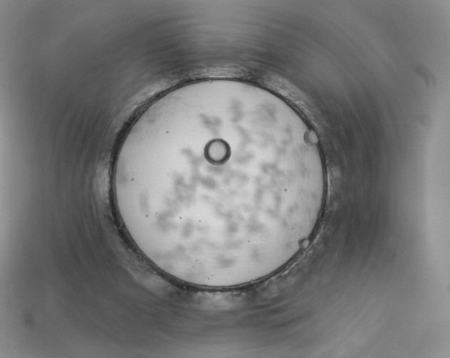 X0000113580297200910161546