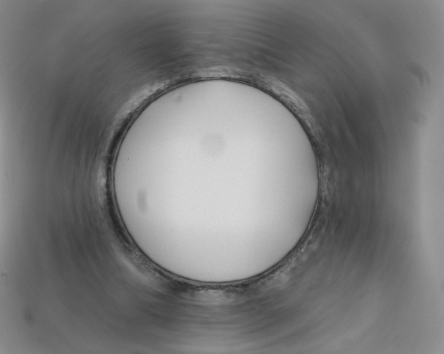 X0000113580298200910161546