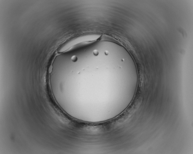 X0000113580299200910161546