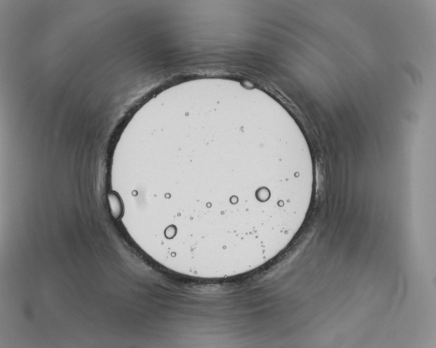 X0000113580301200910161546