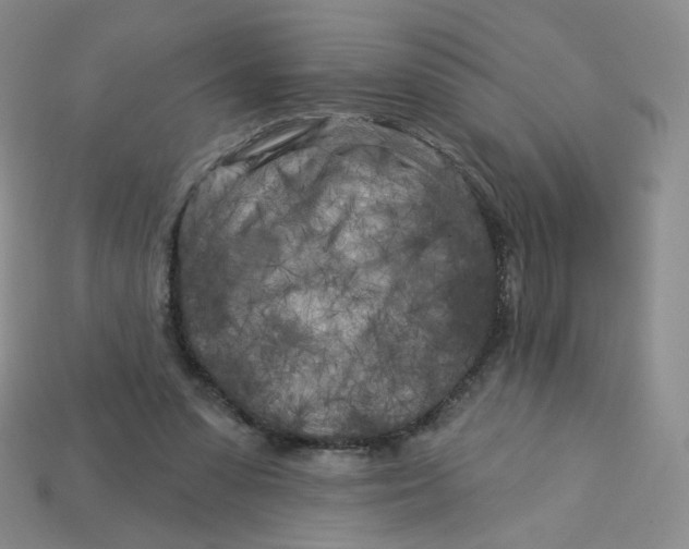 X0000113580303200910161546